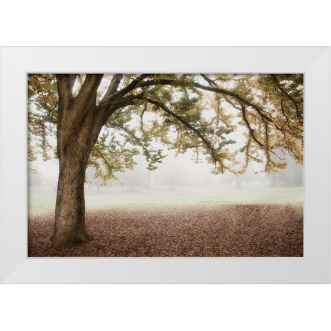 Park 1 White Modern Wood Framed Art Print by Poinski, Dianne