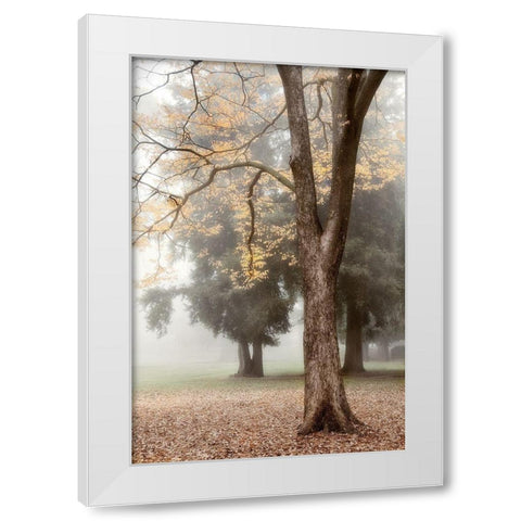 Park 3 White Modern Wood Framed Art Print by Poinski, Dianne