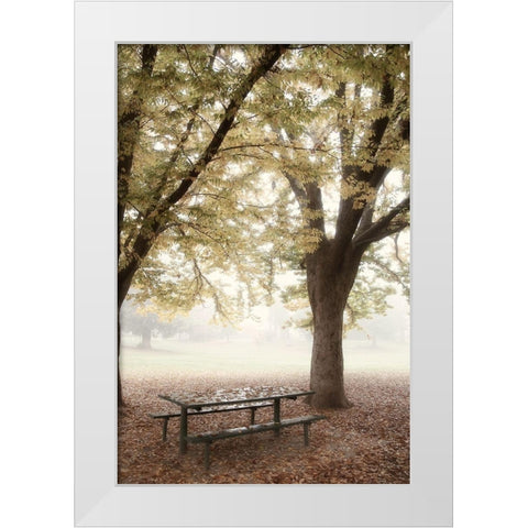 Park 4 White Modern Wood Framed Art Print by Poinski, Dianne
