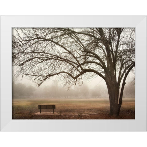 Park 5 White Modern Wood Framed Art Print by Poinski, Dianne