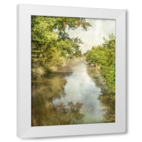 Summer Morning White Modern Wood Framed Art Print by Poinski, Dianne