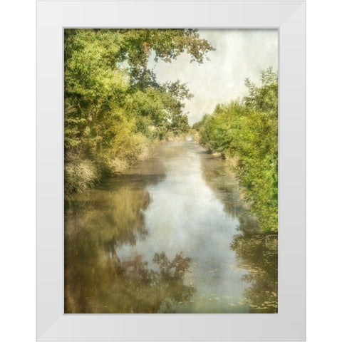 Summer Morning White Modern Wood Framed Art Print by Poinski, Dianne