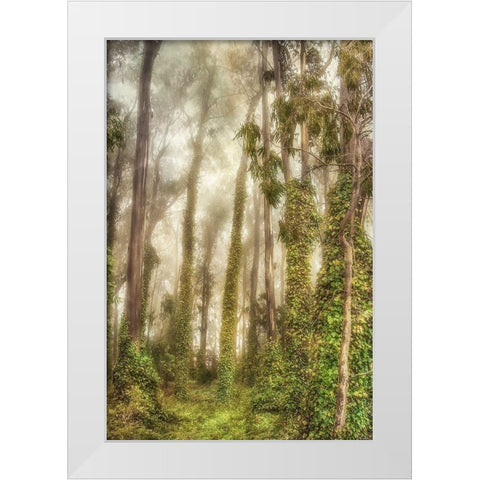 Presidio I White Modern Wood Framed Art Print by Poinski, Dianne