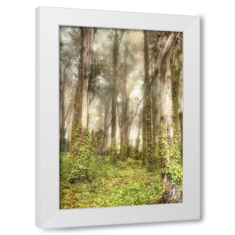 Presidio II White Modern Wood Framed Art Print by Poinski, Dianne