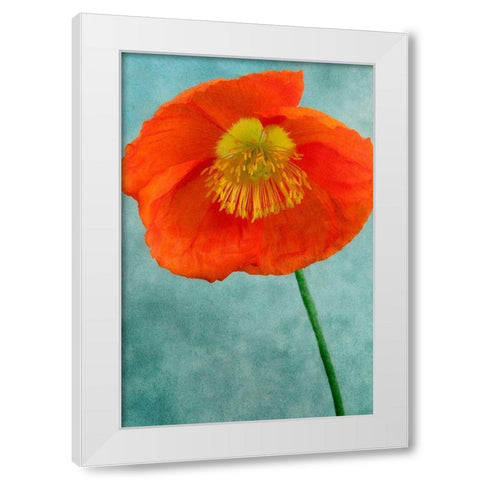 Poppy 2 White Modern Wood Framed Art Print by Poinski, Dianne