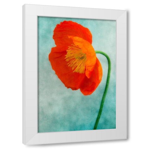 Poppy 3 White Modern Wood Framed Art Print by Poinski, Dianne