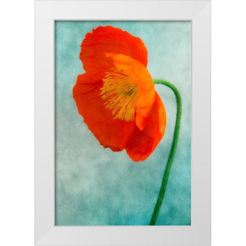 Poppy 3 White Modern Wood Framed Art Print by Poinski, Dianne