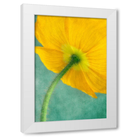 Poppy 5 White Modern Wood Framed Art Print by Poinski, Dianne