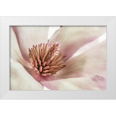 Pink Magnolia 3 White Modern Wood Framed Art Print by Poinski, Dianne