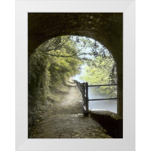 Shrewley Tunnel White Modern Wood Framed Art Print by Poinski, Dianne