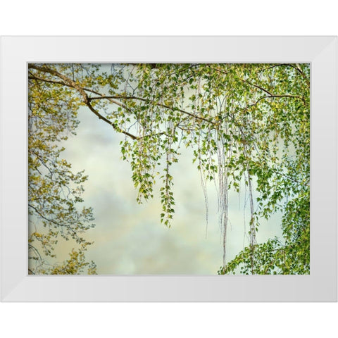 Summer Afternoon White Modern Wood Framed Art Print by Poinski, Dianne