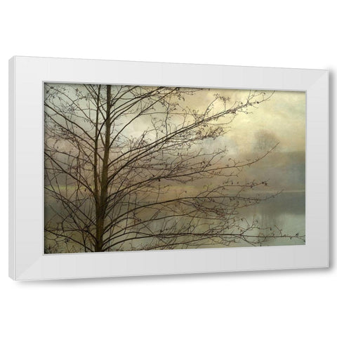 Branches White Modern Wood Framed Art Print by Poinski, Dianne