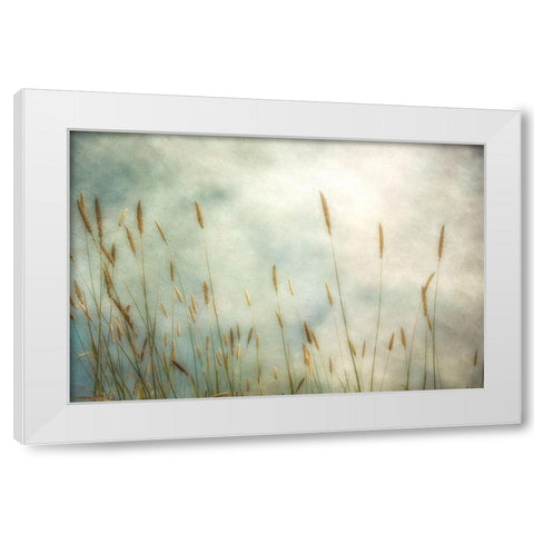 Dune Grass 2 White Modern Wood Framed Art Print by Poinski, Dianne
