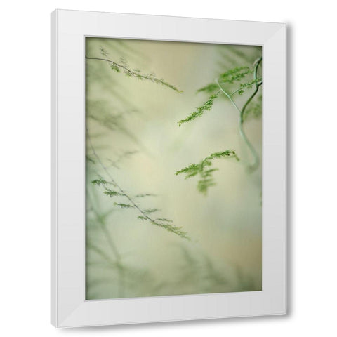 Soft Adagio 1 White Modern Wood Framed Art Print by Poinski, Dianne