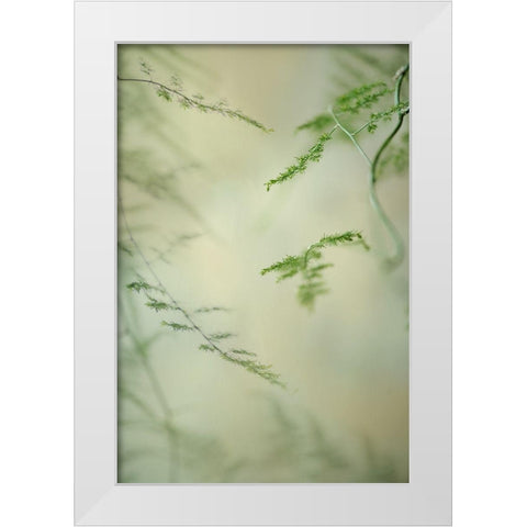 Soft Adagio 1 White Modern Wood Framed Art Print by Poinski, Dianne