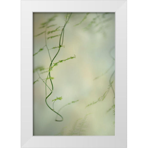 Soft Adagio 2 White Modern Wood Framed Art Print by Poinski, Dianne