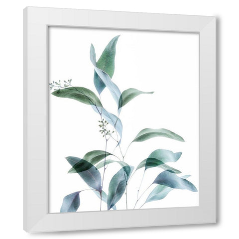 Gentle Botanical 1 White Modern Wood Framed Art Print by Poinski, Dianne