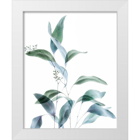 Gentle Botanical 1 White Modern Wood Framed Art Print by Poinski, Dianne