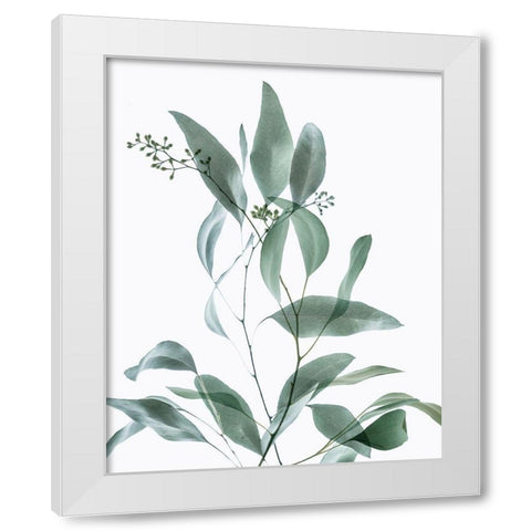 Gentle Botanical 3 White Modern Wood Framed Art Print by Poinski, Dianne