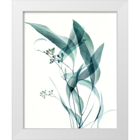 Gentle Botanical 4 White Modern Wood Framed Art Print by Poinski, Dianne