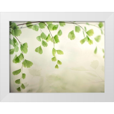 Petit Feuilles 1 White Modern Wood Framed Art Print by Poinski, Dianne