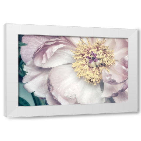 Dusty Bloom 1 White Modern Wood Framed Art Print by Poinski, Dianne