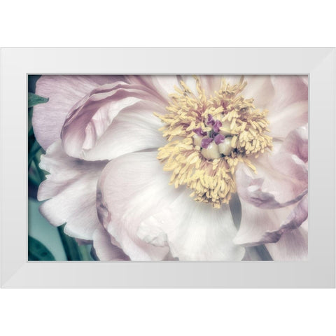 Dusty Bloom 1 White Modern Wood Framed Art Print by Poinski, Dianne