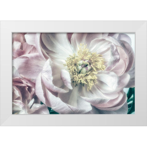 Dusty Bloom 2 White Modern Wood Framed Art Print by Poinski, Dianne