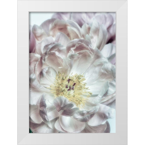 Dusty Bloom 4 White Modern Wood Framed Art Print by Poinski, Dianne