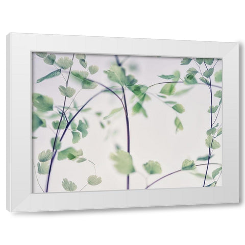Fallen 2 White Modern Wood Framed Art Print by Poinski, Dianne