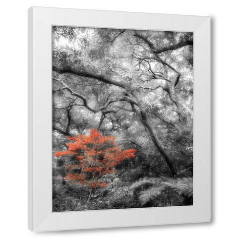 Splash in the Forest White Modern Wood Framed Art Print by Poinski, Dianne