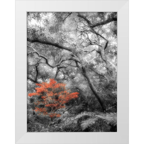 Splash in the Forest White Modern Wood Framed Art Print by Poinski, Dianne