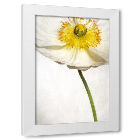 Alabaster Flutter 2 White Modern Wood Framed Art Print by Poinski, Dianne