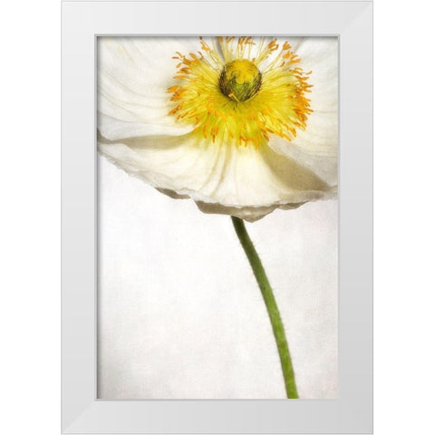 Alabaster Flutter 2 White Modern Wood Framed Art Print by Poinski, Dianne