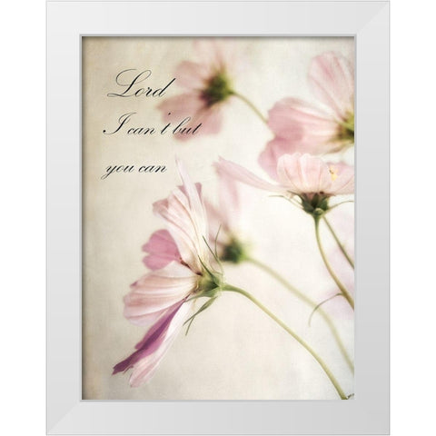 Petite Lord White Modern Wood Framed Art Print by Poinski, Dianne