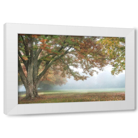The Meadow 1 White Modern Wood Framed Art Print by Poinski, Dianne