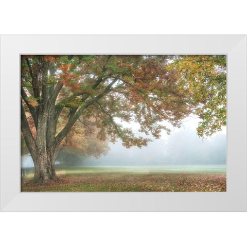 The Meadow 1 White Modern Wood Framed Art Print by Poinski, Dianne