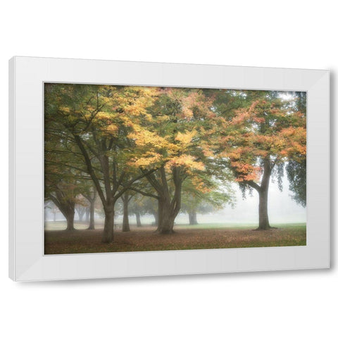 The Meadow 3 White Modern Wood Framed Art Print by Poinski, Dianne