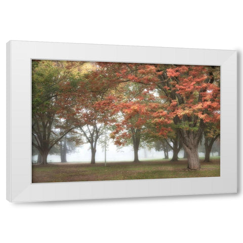 The Meadow 4 White Modern Wood Framed Art Print by Poinski, Dianne
