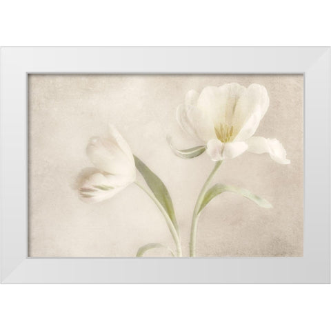 Whispering White I White Modern Wood Framed Art Print by Poinski, Dianne