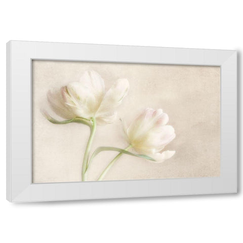 Whispering White II White Modern Wood Framed Art Print by Poinski, Dianne