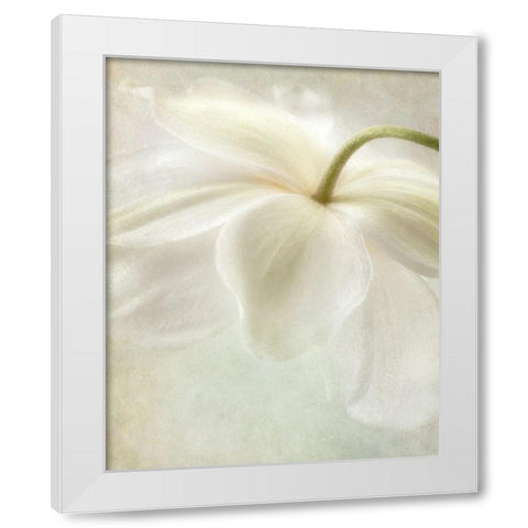 Spring Bonnet II White Modern Wood Framed Art Print by Poinski, Dianne