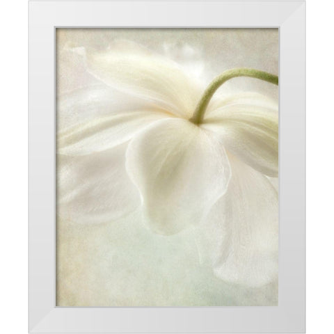 Spring Bonnet II White Modern Wood Framed Art Print by Poinski, Dianne