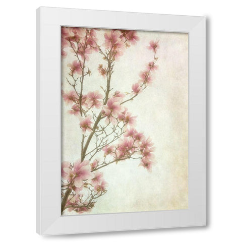 Pinker II White Modern Wood Framed Art Print by Poinski, Dianne
