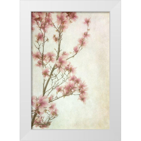 Pinker II White Modern Wood Framed Art Print by Poinski, Dianne