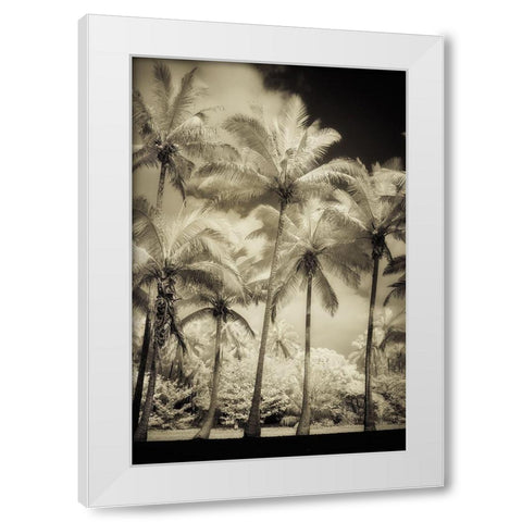 White Palms 1 White Modern Wood Framed Art Print by Poinski, Dianne