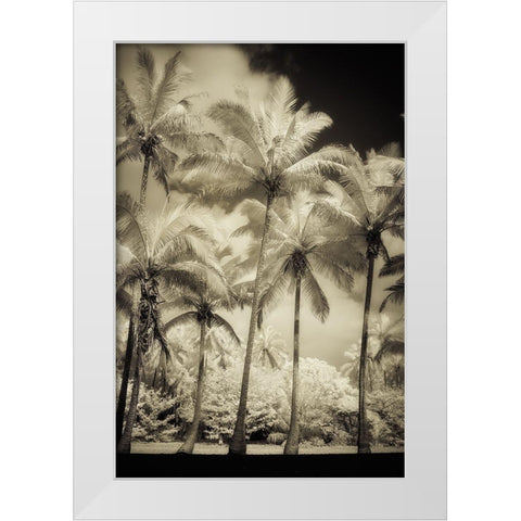 White Palms 1 White Modern Wood Framed Art Print by Poinski, Dianne