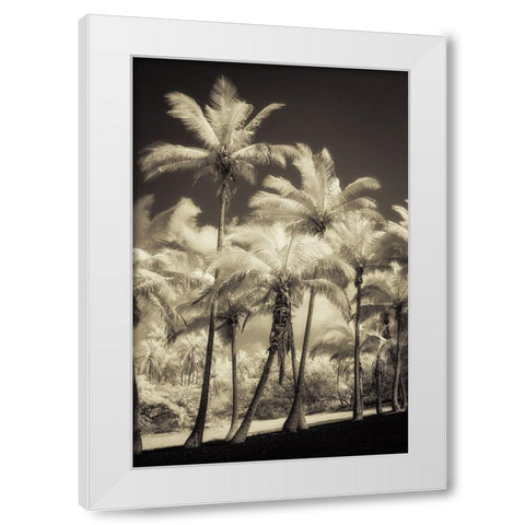White Palms 2 White Modern Wood Framed Art Print by Poinski, Dianne