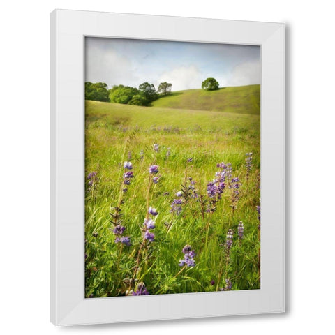 Wildflower Hill 3 White Modern Wood Framed Art Print by Poinski, Dianne