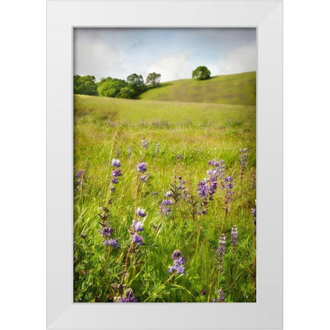 Wildflower Hill 3 White Modern Wood Framed Art Print by Poinski, Dianne